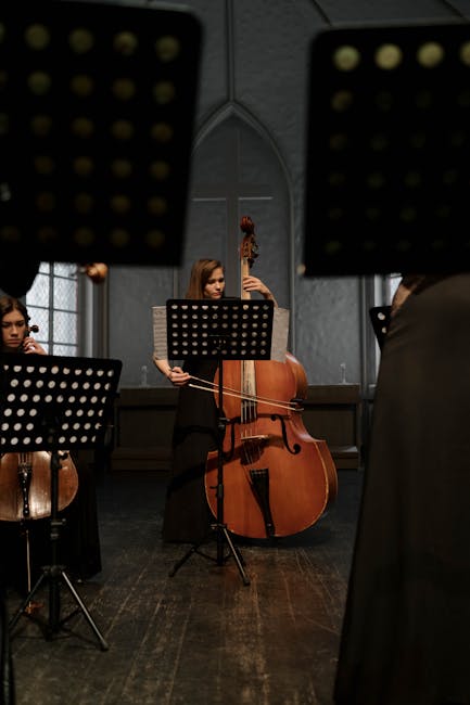 Un recital captivant de orgă la Palatul Culturii: muzica la patru mâini