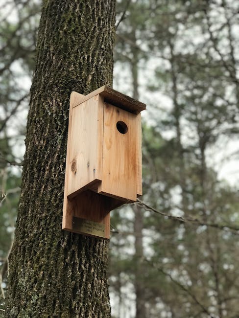 Refugii ecologice pentru fauna Parcului Grădiștea Muncelului-Cioclovina
