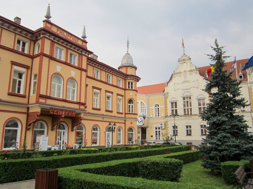 Caransebeș rămâne pe linia de plutire: primarul Borcean explică cum gestionează bugetul