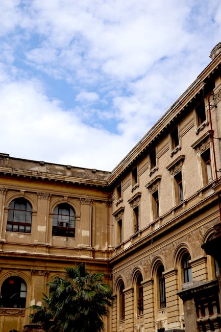O tânără din Satu Mare cucerește Europa cu admiterea la Universitatea Sapienza din Roma