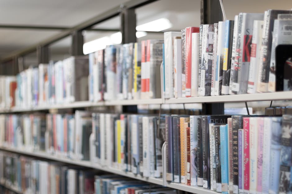Bibliotecarii din Gorj se reunesc pentru a discuta viitorul bibliotecilor