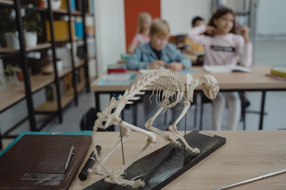 Muzeul ASTRA transformă educația în aventură: mii de elevi participă la activități interactive