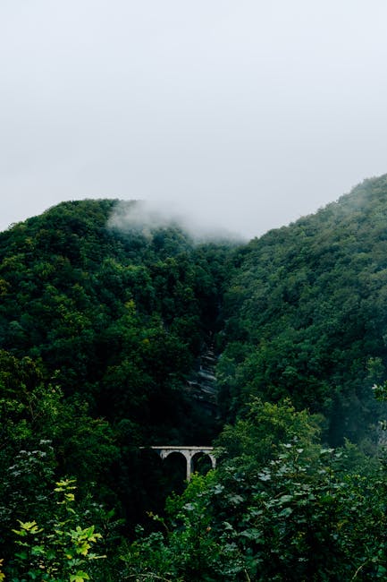 Un ecoduct impresionant prinde contur pe Valea Oltului