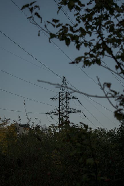 Aluniș pregătită pentru iarnă: măsuri împotriva penelor de curent