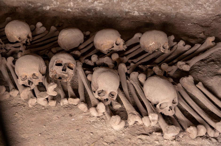 Descoperire șocantă în Slatina: saci cu cadavre din vremea COVID-19 găsiți într-o groapă comună