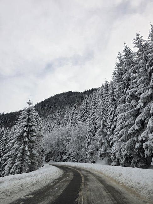 Vreme extremă în România: vânt puternic, ploi și ninsori în weekend