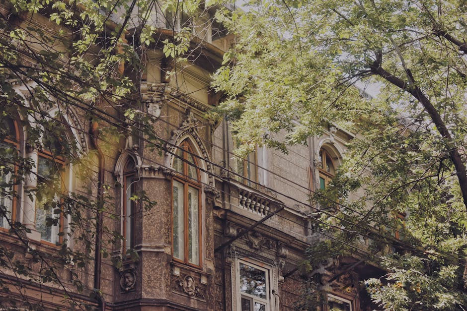 Casa Pocol din Baia Mare revine la viață printr-un proiect de restaurare ambițios