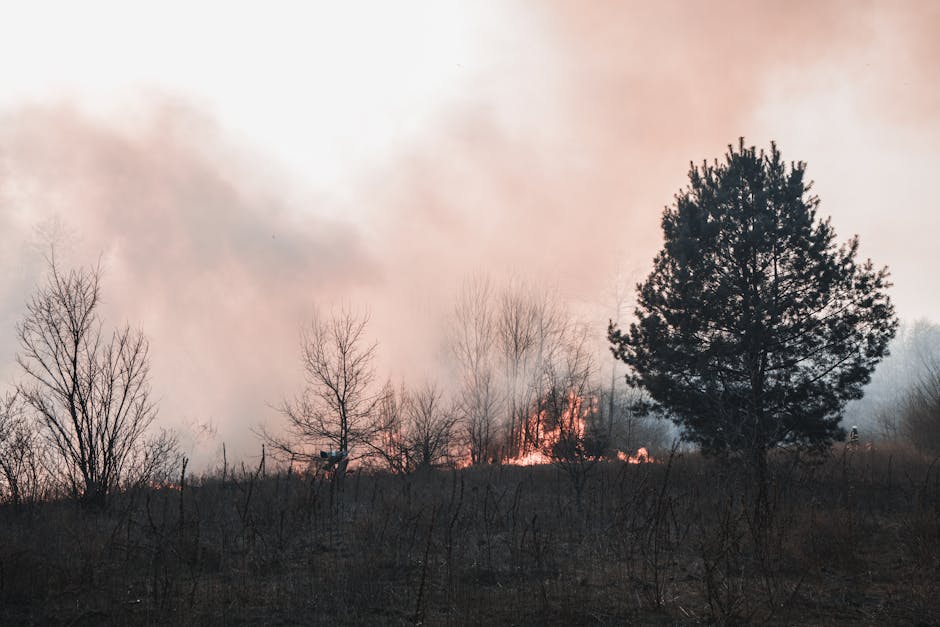 Alertă în Serbia: MAE avertizează românii să evite zonele afectate de incendii