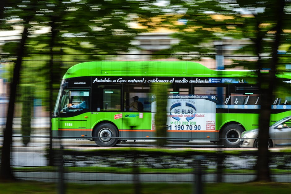 Transport public gratuit în Sfântu Gheorghe în fiecare vineri: o inițiativă ecologică
