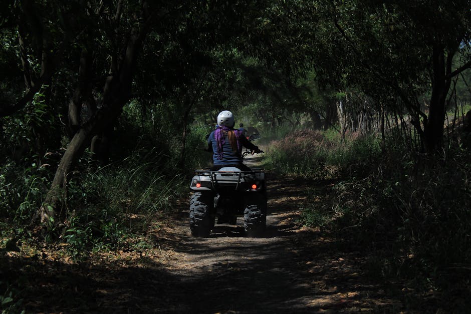 Drumeții în pericol: ATV-urile pun în umbră traseele din Codru