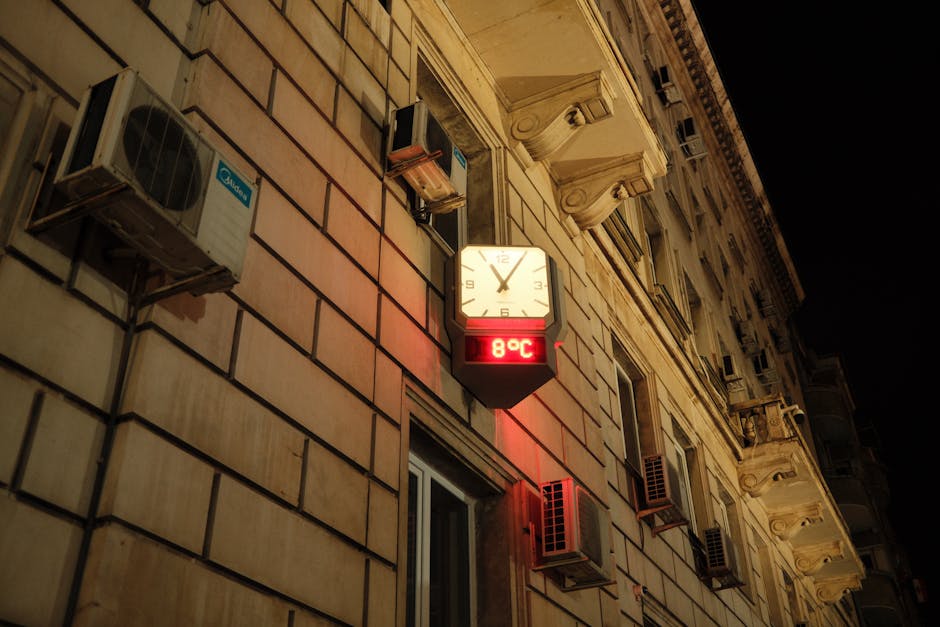 Caniculă extremă în Satu Mare: temperaturi record de până la 39 de grade