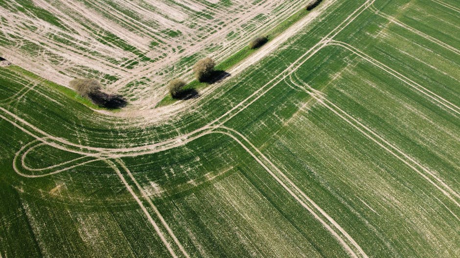 Oportunitate de investiție: teren agricol de vânzare între Constanța și Tulcea