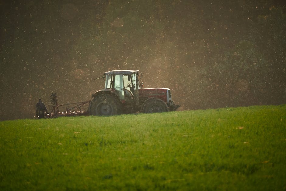 Fermierii, sprijiniți cu motorină la preț redus: O măsură necesară pentru agricultura românească