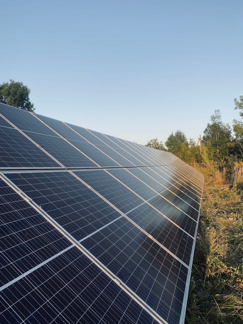 Companiile din Oradea se mobilizează pentru economisirea energiei
