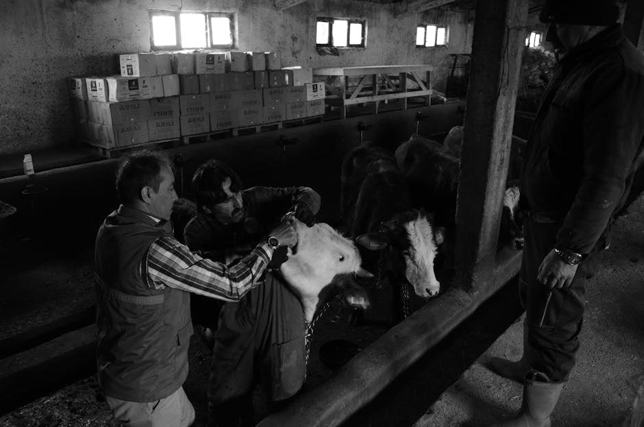 România se confruntă cu posibile reduceri ale fondurilor europene în următorii șapte ani