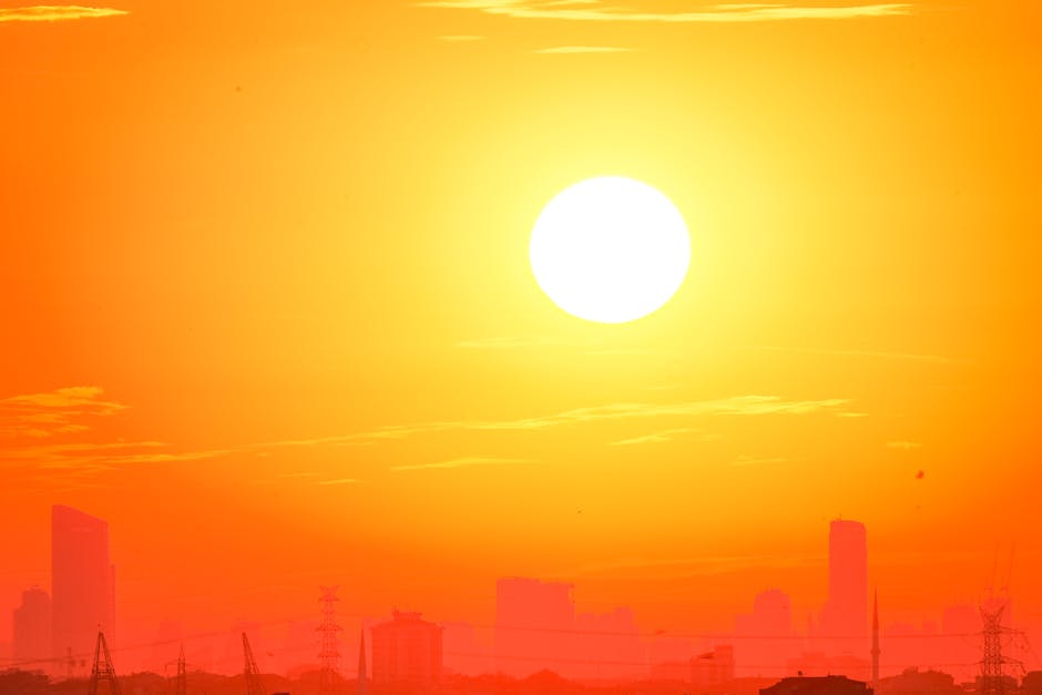 Alertă de caniculă în Călărași: temperaturi de până la 36 de grade