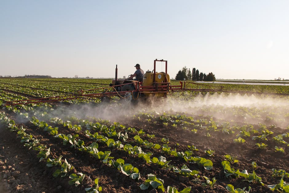 Conflictul din Iran provoacă o explozie a prețurilor îngrășămintelor și riscă creșterea costurilor alimentelor