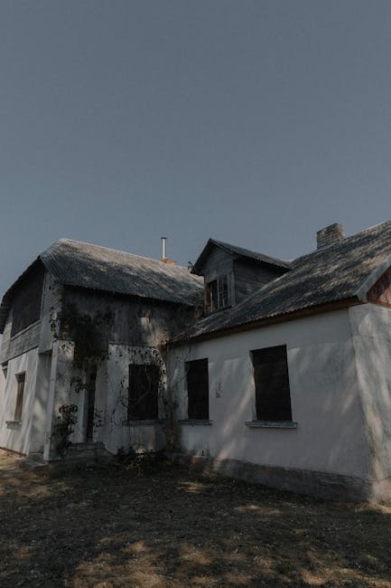 Teiu Păunescu decide să vândă activele rămase din Oltina, afaceri în declin