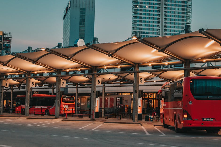 CTP investește în transportul public: 20 de autobuze rulate achiziționate cu 8,7 milioane de lei