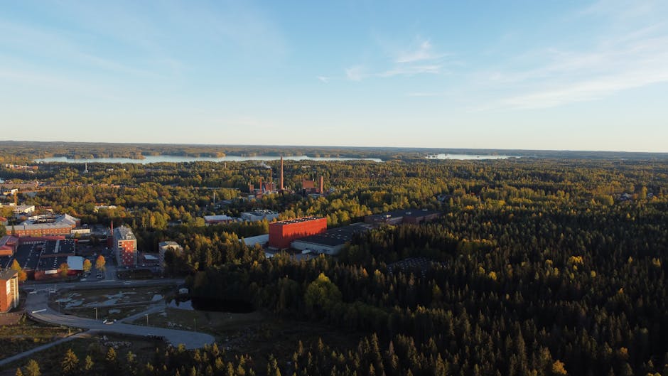 Controverse în Finlanda: Google suspendă lucrările la centrele de date din cauza reglementărilor de mediu