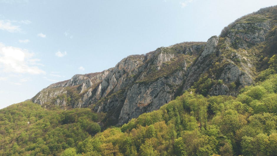 Cutremur moderat în Vrancea: Detalii despre seismul de dimineață