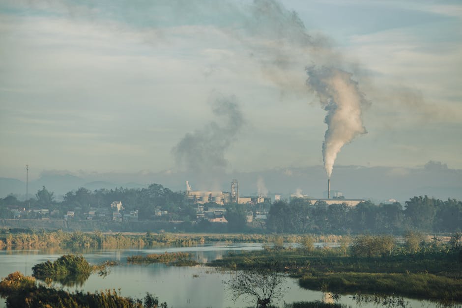 Senzori de aer din Satu Mare dezvăluie creșteri alarmante ale poluării în dimineața de 22 iulie