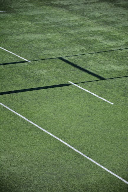 Eforturi continue pentru revitalizarea bazei sportive din Șirineasa