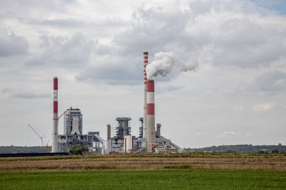 Căldura extremă: un risc economic major pentru Europa