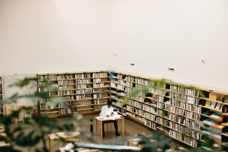 Workshop internațional la Universitatea din Petroșani pe tema proprietății intelectuale și sustenabilității