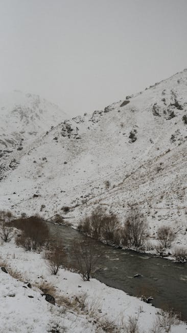 Prognoza meteo: vânt puternic și ploi în Bihor, ninsori în zona montană