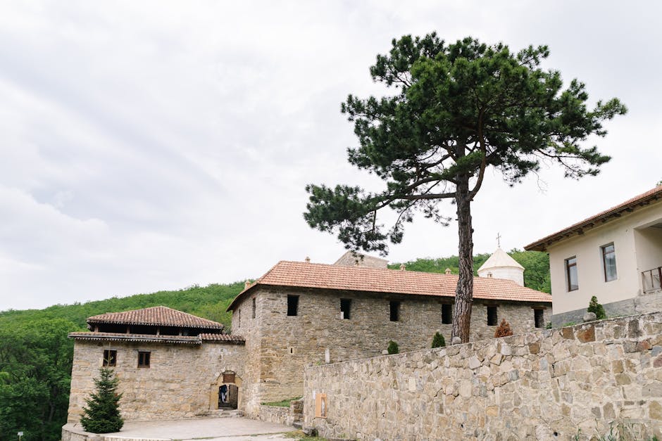 Descoperă Mănăstirea Valea Neagră: o bijuterie monahală din inima Vrancei