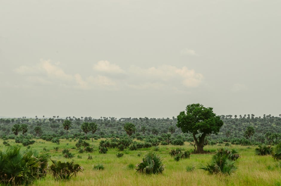 Descoperă biodiversitatea unică a Africii la Craiova