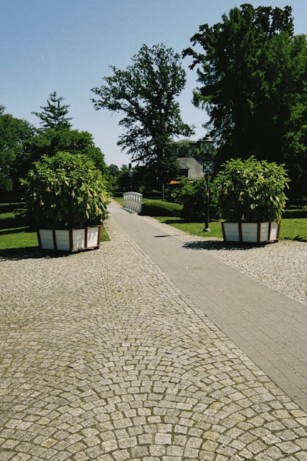 Controversa din Parcul Libertății: alei pietonale afectate de greșeli de construcție