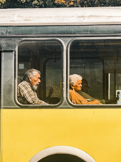 Brașov lansează Vinerea Verde: transport gratuit pentru toți cetățenii!