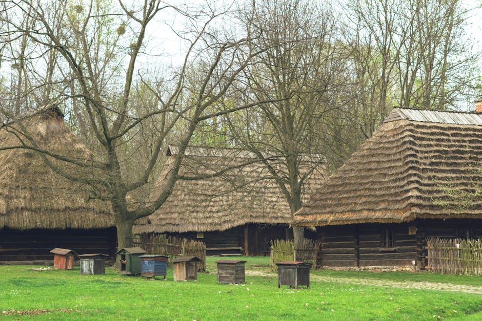 Transformarea Parcului Etnografic din Hoia: investiție de peste 23 milioane lei pentru un nou început