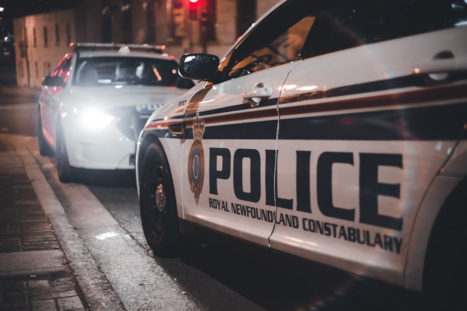 Violente și distrugeri în Valu lui Traian: Doi tineri reținuți de poliție