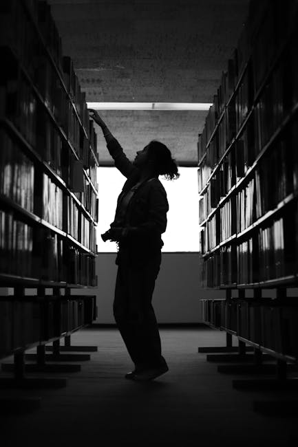 Secția de împrumut pentru adulți de la Biblioteca Județeană Alba se redeschide pentru iubitorii de lectură