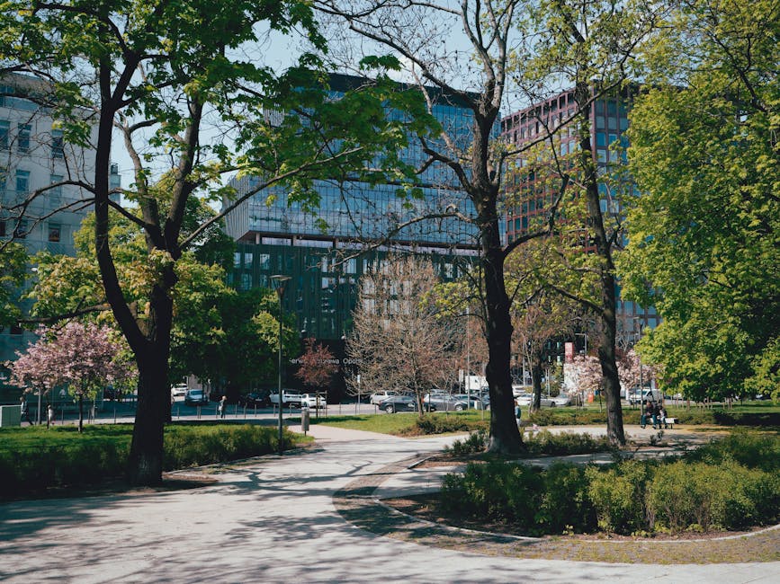 Transformarea parcului Vasile Lucaciu: modernizare și revitalizare pentru comunitate