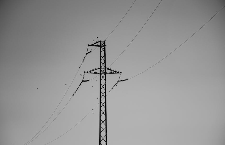 Primarul din Tuzla solicită clarificări privind întreruperile de curent și răspunsul operatorului de electricitate