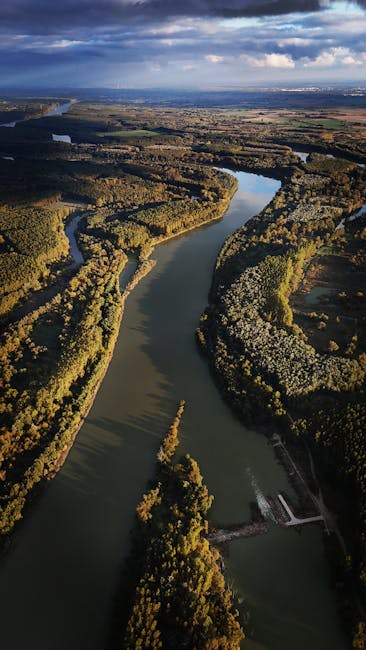 Comisia Europeană analizează plângerea WWF privind lucrările de pe brațul Bala
