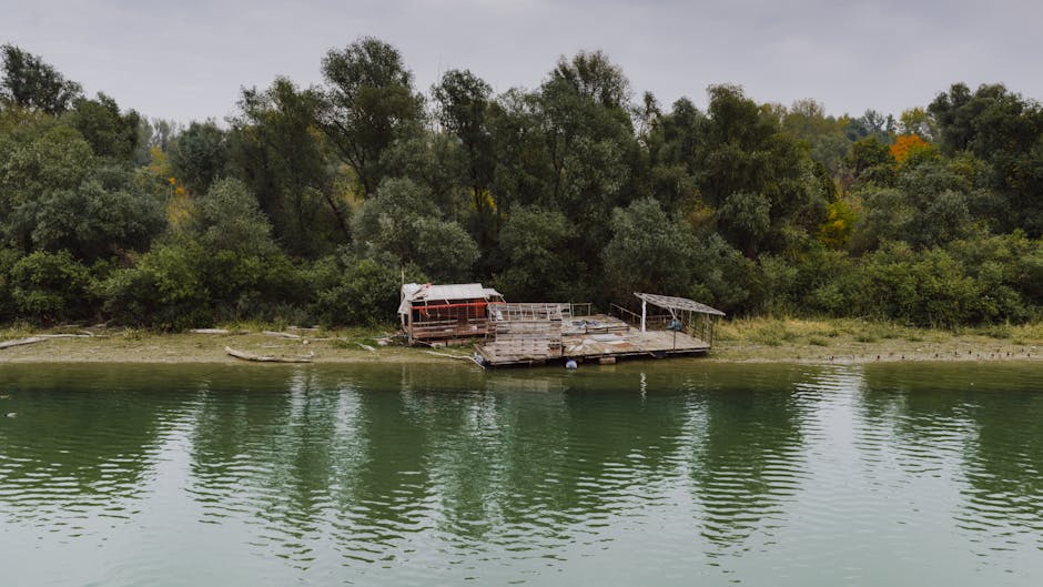 Descoperirea uimitoare: epava „Titanicului de pe Sava” reapare după 80 de ani