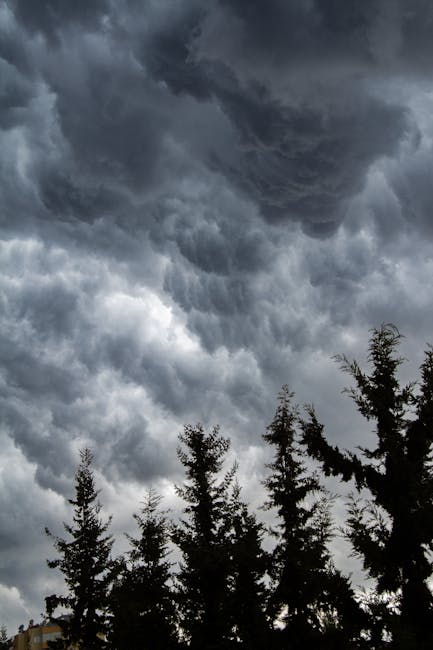 Avertizare meteo: Cod galben de ploi și vijelii în nordul județului Gorj