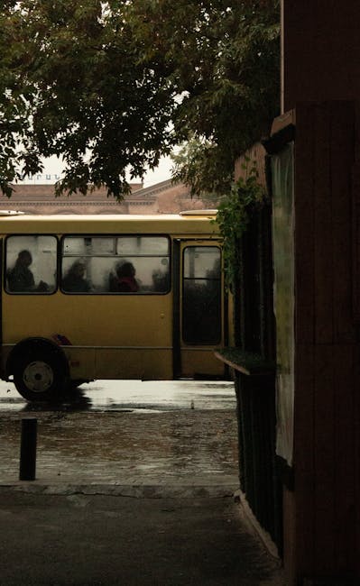 Modificări în transportul public din Miercurea-Ciuc cu ocazia comemorării Revoluției Ungare