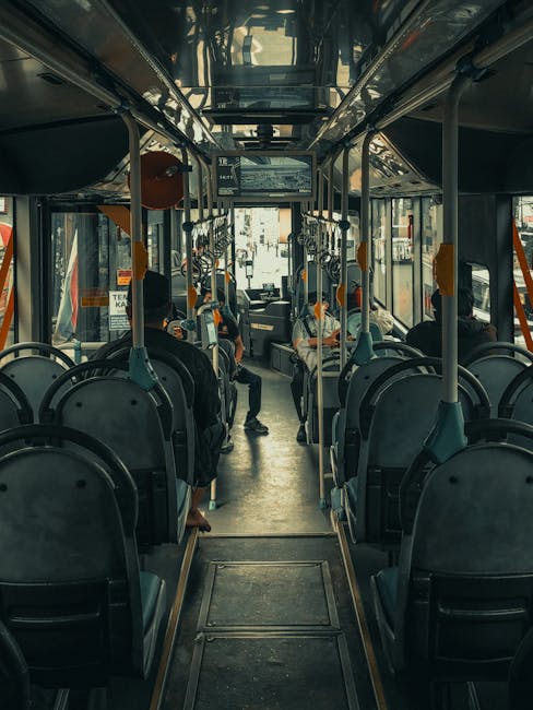 Aplicația CT BUS: probleme tehnice afectează disponibilitatea serviciului