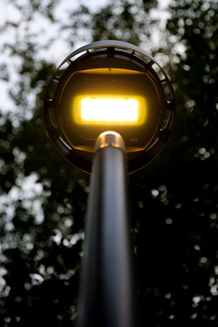 Bujoreni adoptă măsuri eficiente pentru economisirea energiei electrice