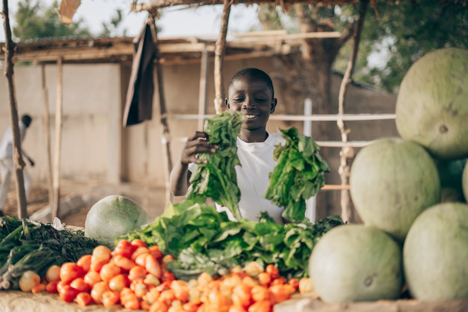 Revoluția alimentară în Cluj: Cum un proiect european transformă mesele copiilor
