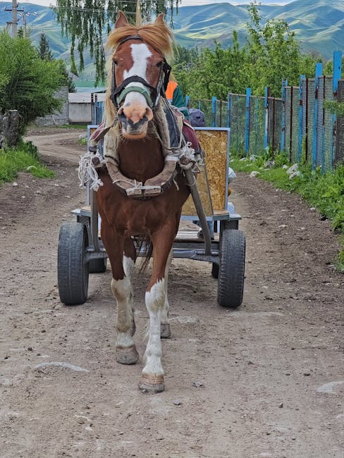 Tânăr din Prahova sancționat pentru epuizarea calului în încercarea de a scoate căruța din șanț