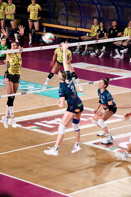 Corona Brașov își cunoaște adversarii din CEV Challenge Cup: dueluri electrizante în perspectiva sezonului!