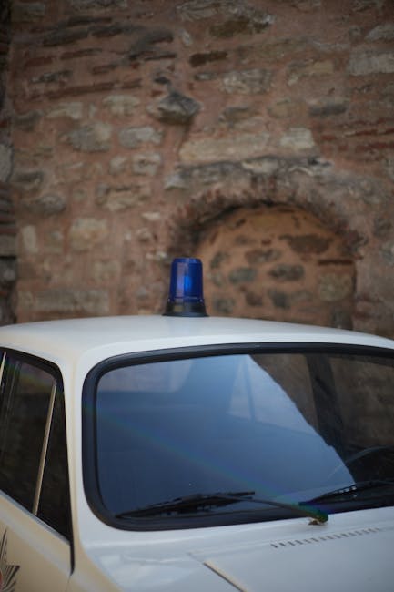204 ani de Poliție Română: eveniment captivant pentru comunitate la Măgurele