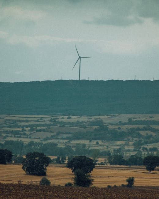 România pe calea independenței energetice: un mesaj de optimism din partea Băncii Transilvania
